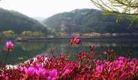 대표사진